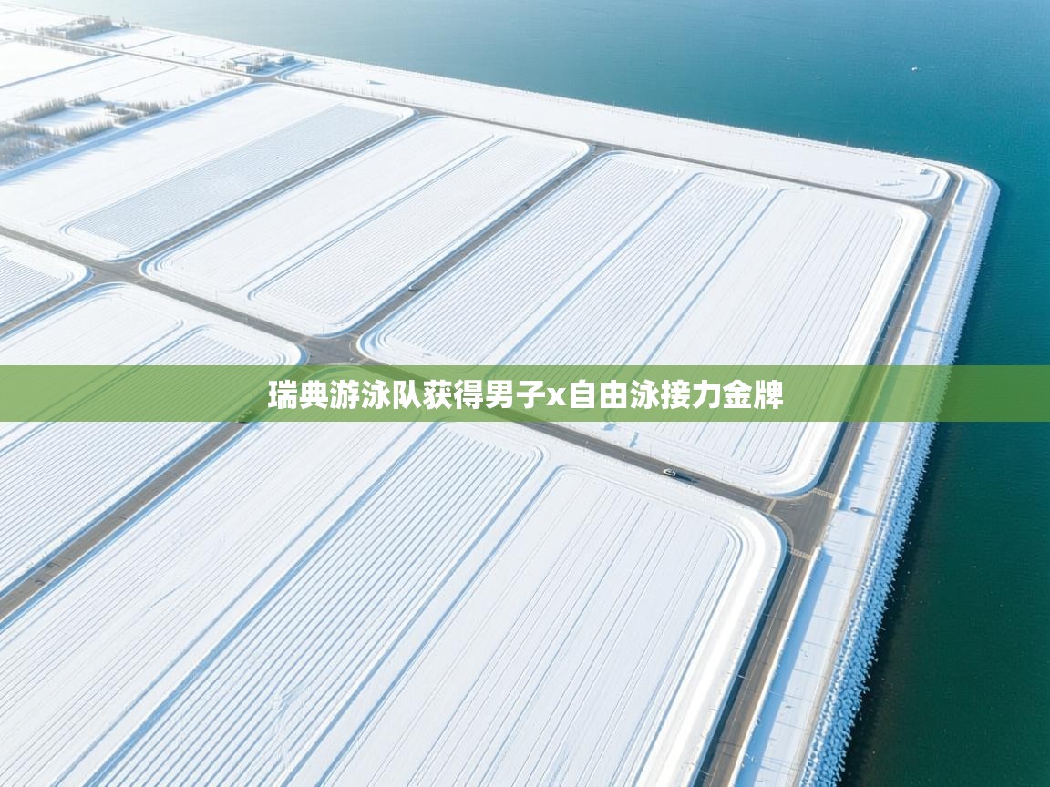 瑞典游泳队获得男子x自由泳接力金牌 第1张