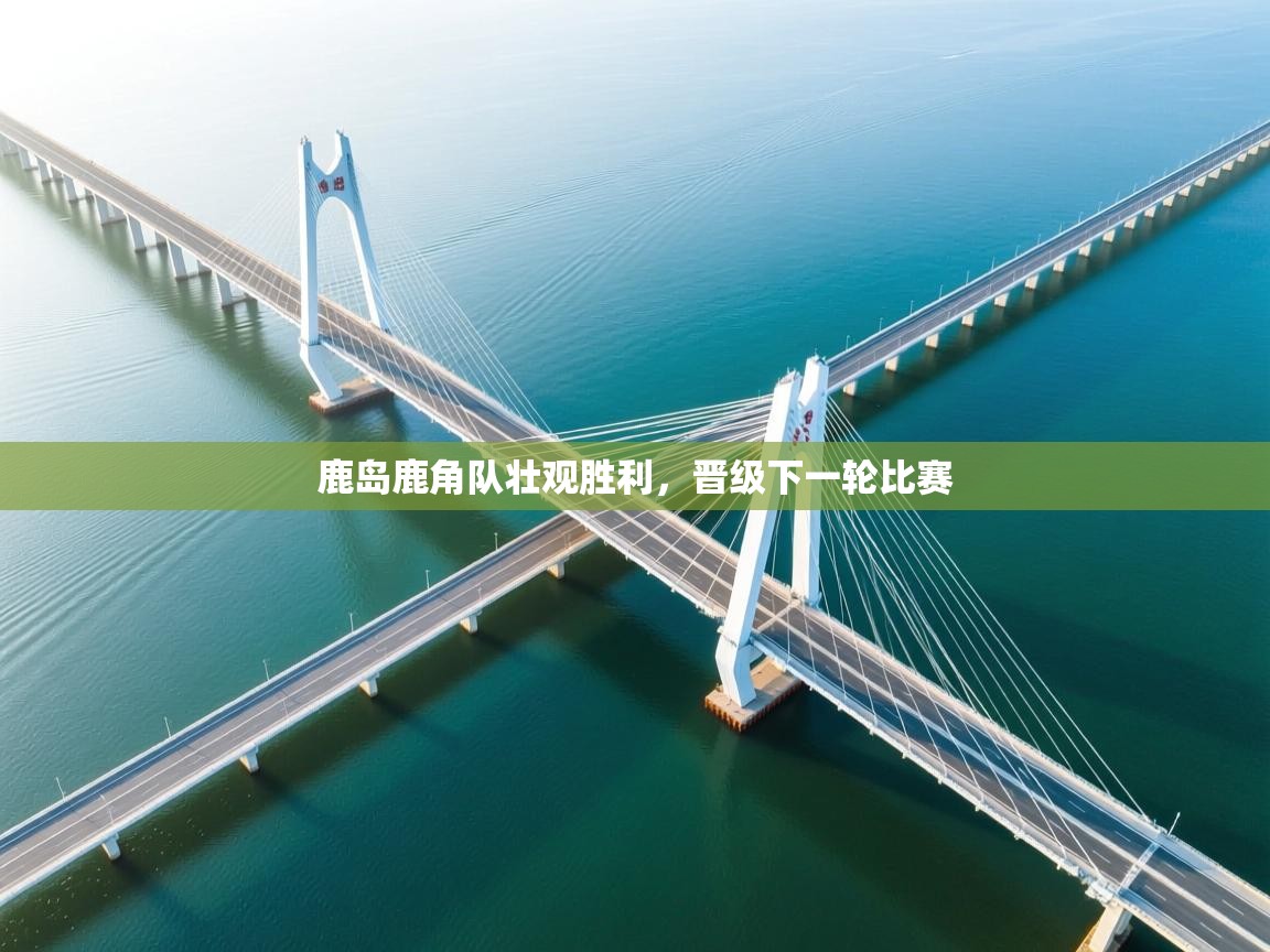 鹿岛鹿角队壮观胜利,晋级下一轮比赛 第2张